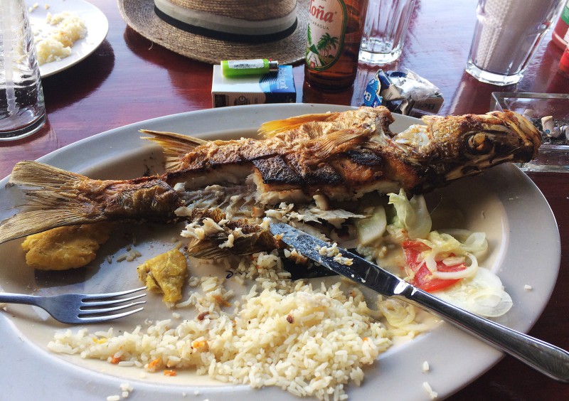 Lisa, oder was von "ihr" übrig ist