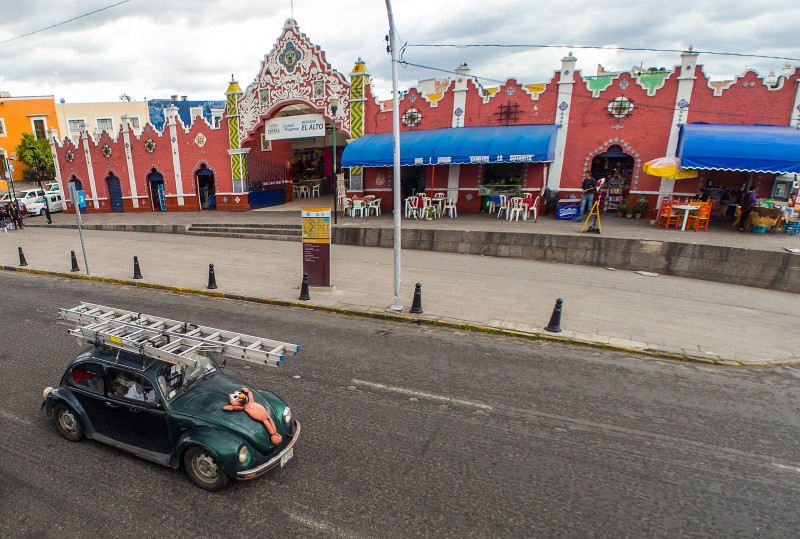 Hmm, "Spezial" Käfer?