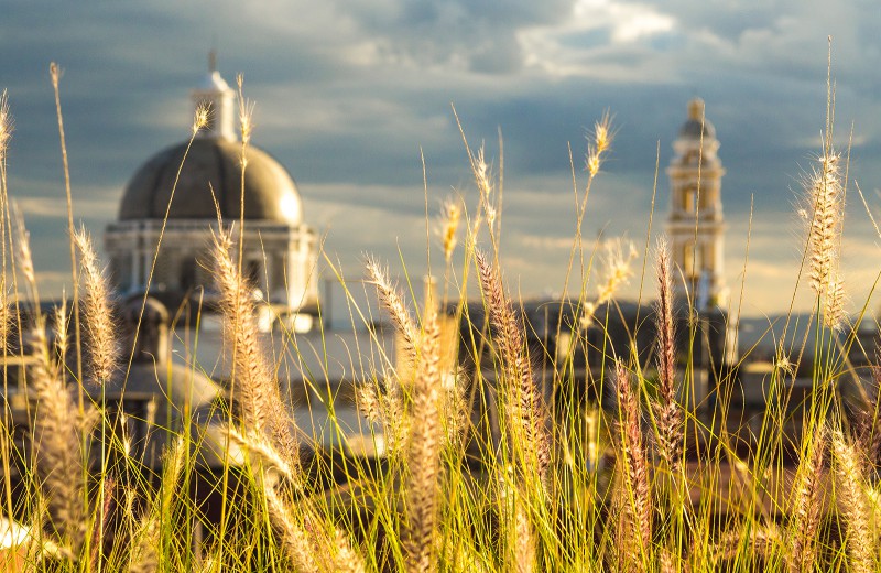 Auf der Terrasse des Museo Amparo